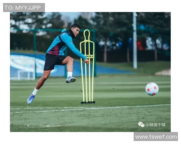 冠军归属争议引发热议各方观点碰撞解析赛事背后的深层次原因