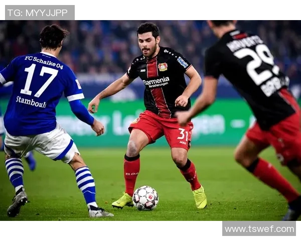 沙尔克04坚守主场，不畏强敌，勒沃库森仅逼平，展现坚韧实力