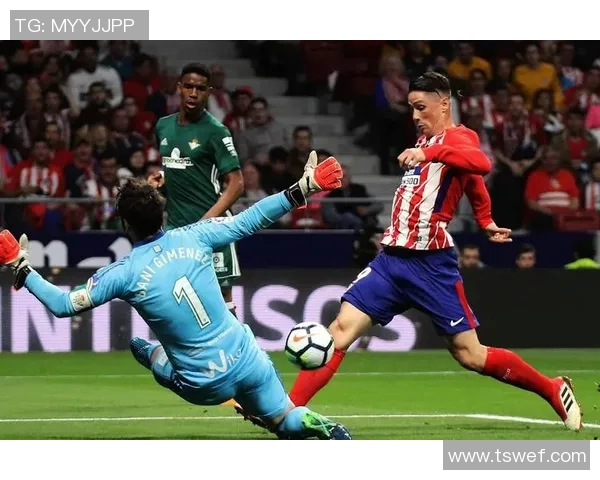 西甲豪门马德里竞技官方宣布签下新援,强化中场阵容 西甲豪门马德里竞技官方宣布签下新援,强化中场阵容